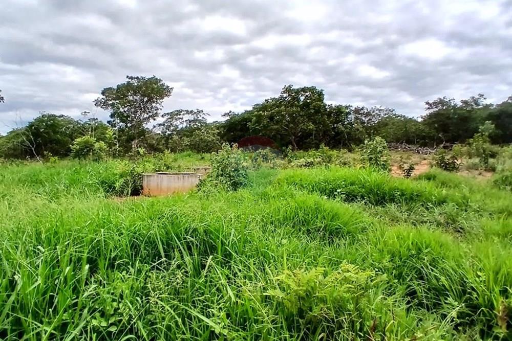 Fazenda - Venda - Inimutaba , Minas Gerais - 20260127_163052.jpg - 870411101-21