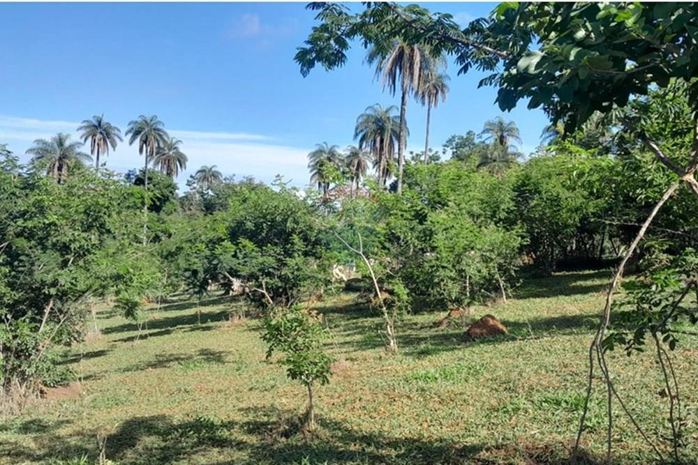Terreno - Venda - Lagoa Santa , Minas Gerais - FOTO13 FAZENDA .jpg - Loft - 870421119-51