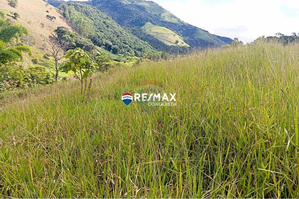 Chácara / Sítio / Fazenda - Venda - Conceição de Ipanema , Minas Gerais - 5_image_5_watermark_sáb._12042025_141818.jpg - 870451013-61