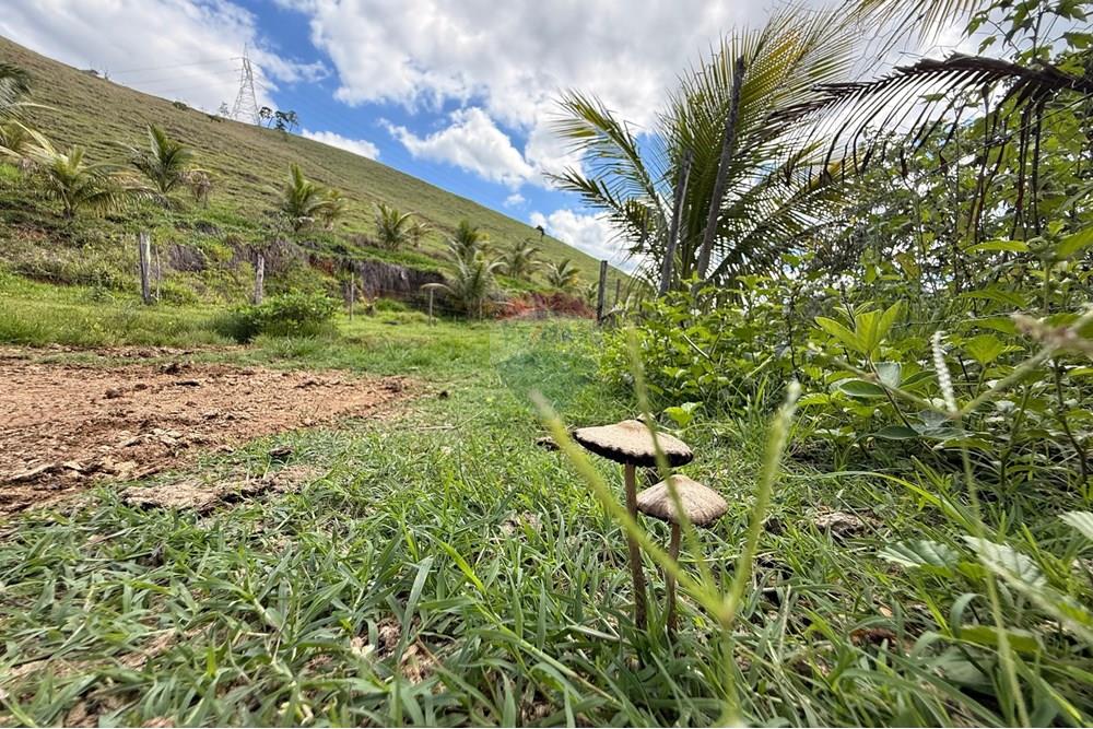Chácara / Sítio / Fazenda - Venda - Ipatinga , Minas Gerais - WhatsApp Image 2025-11-12 at 17.37.11 (3).jpeg - 870711007-44