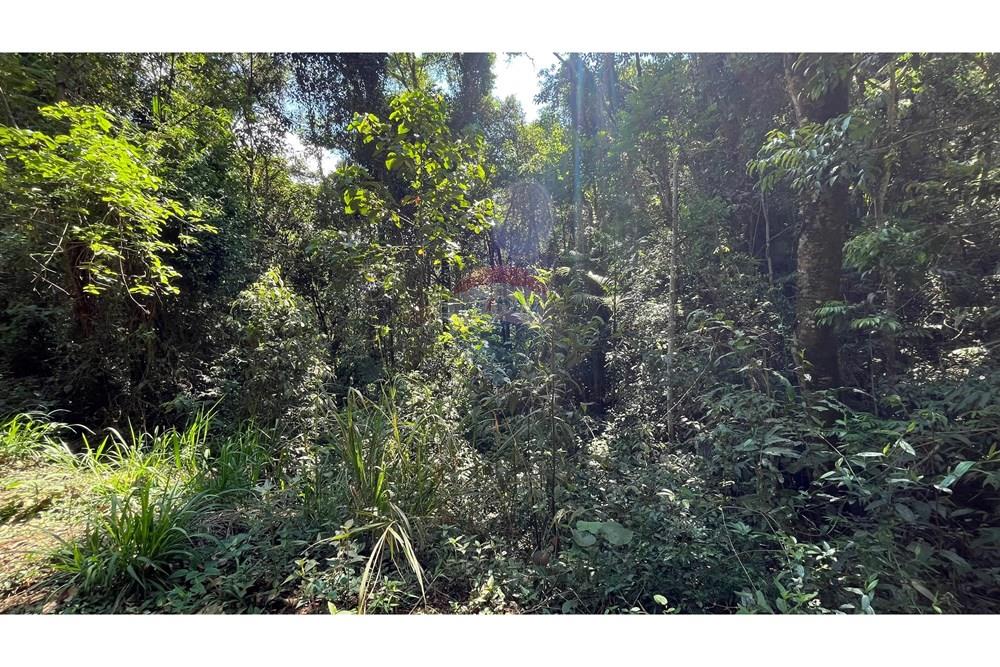 Terreno - Venda - Nova Lima , Minas Gerais - WhatsApp Image 2025-11-04 at 10.48.11 (11).jpeg - 870351032-24