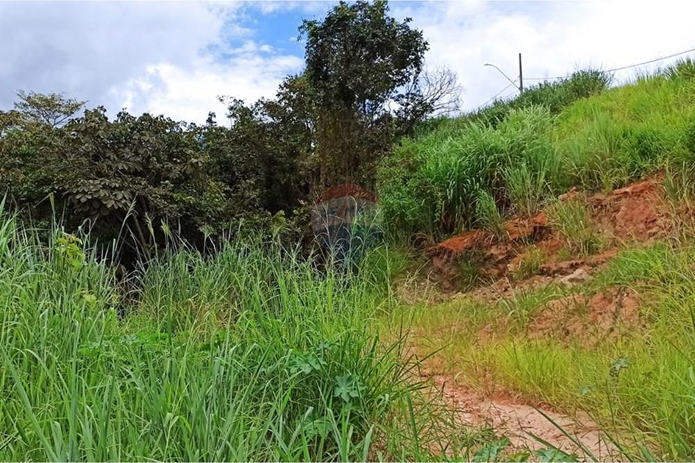 Terreno - Venda - Ibirité , Minas Gerais - 11.jpg - 870421081-3