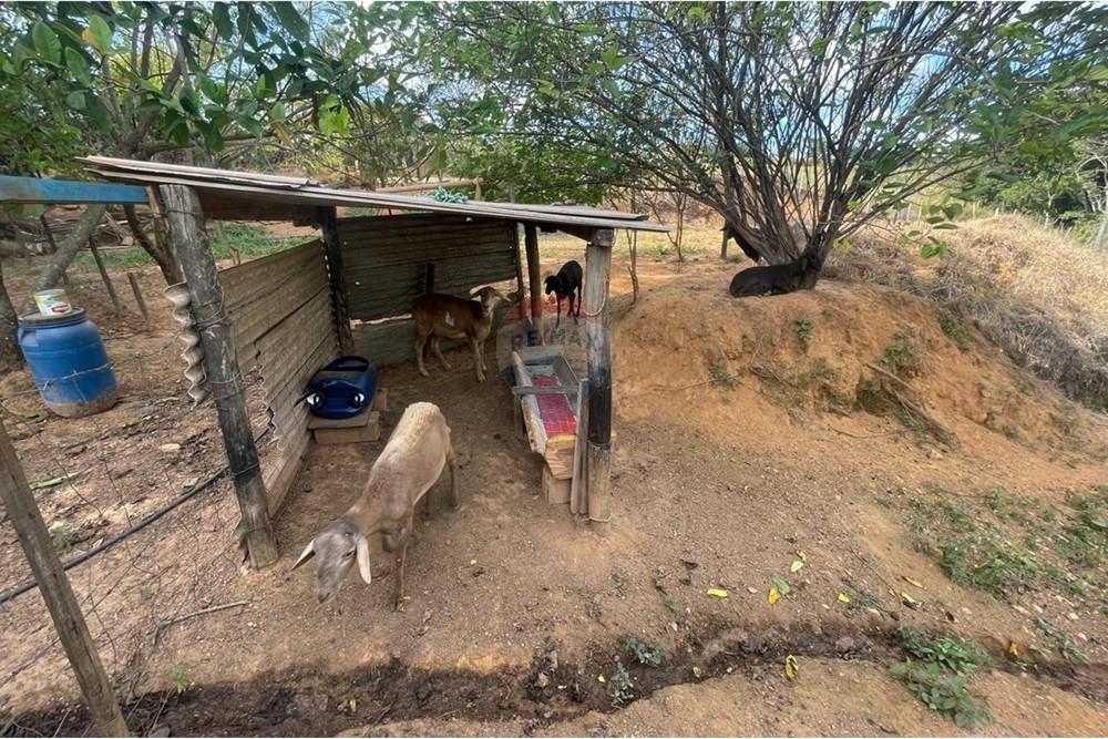 Rezidential - Ferma - Araxá , Minas Gerais - BR - 22.jpg - 870431045-46