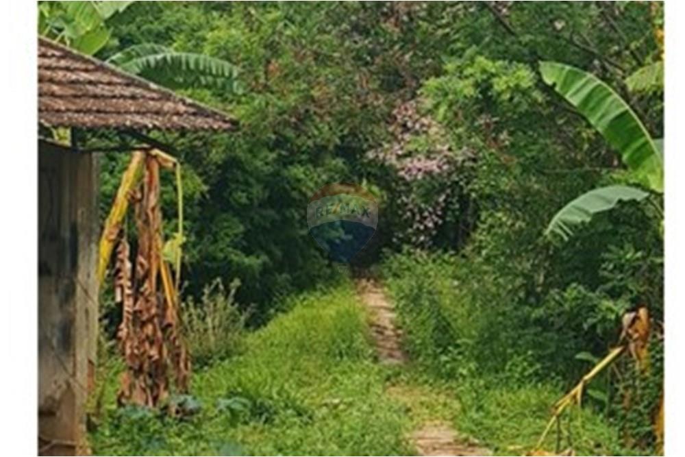 Fazenda - Venda - Pedro Leopoldo , Minas Gerais - WhatsApp Image 2025-12-11 at 15.18.40.jpeg - 870411117-34