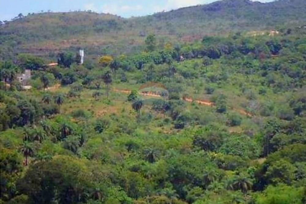 Terreno - Venda - Nova Lima , Minas Gerais - Foto terreno Campo do Pires 1.jpeg - 870241097-38