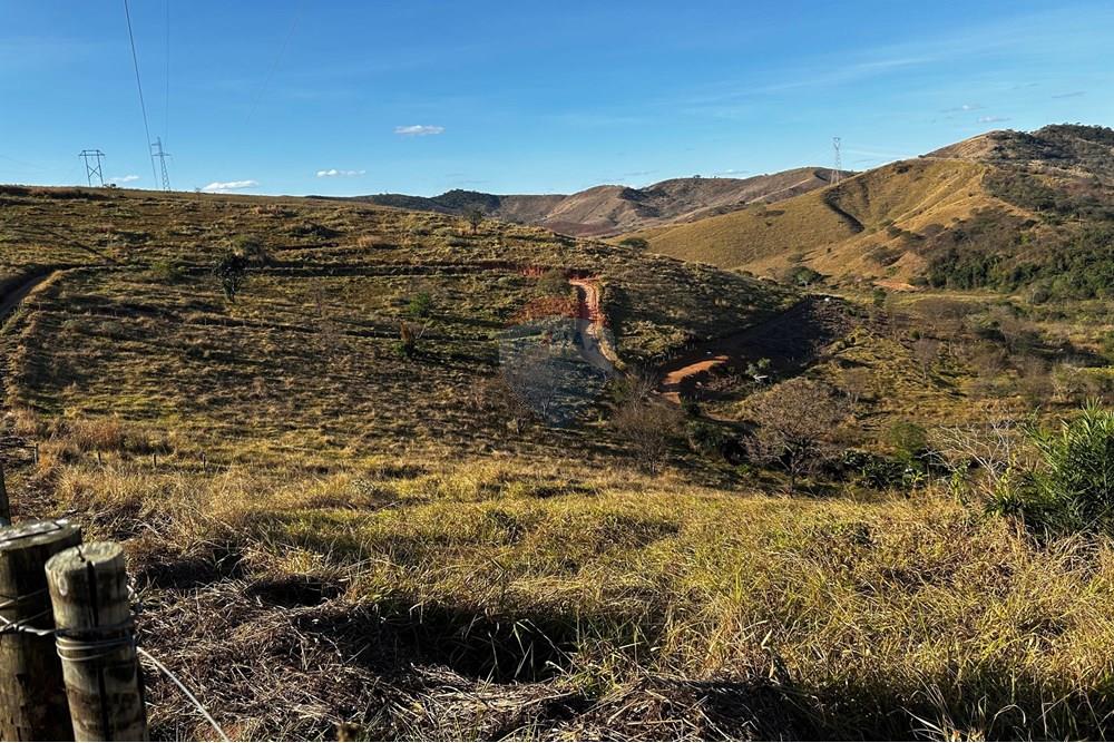 Chácara / Sítio / Fazenda - Venda - Governador Valadares , Minas Gerais - IMG_3019.jpg - 870671001-156