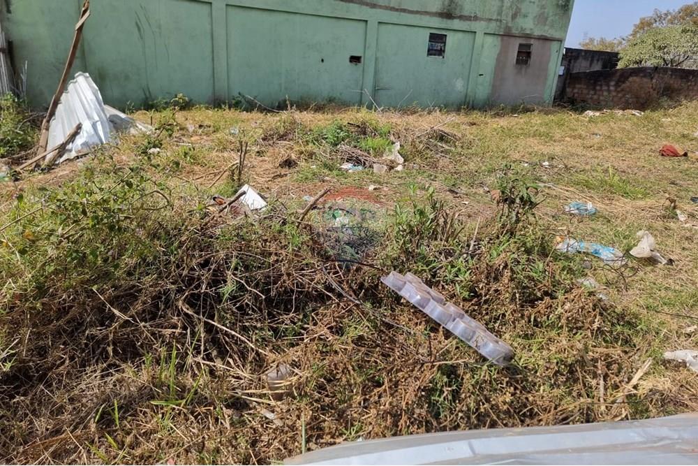 Terreno - Alugar - Nova Lima , Minas Gerais - Foto 19.jpeg - 870421084-26