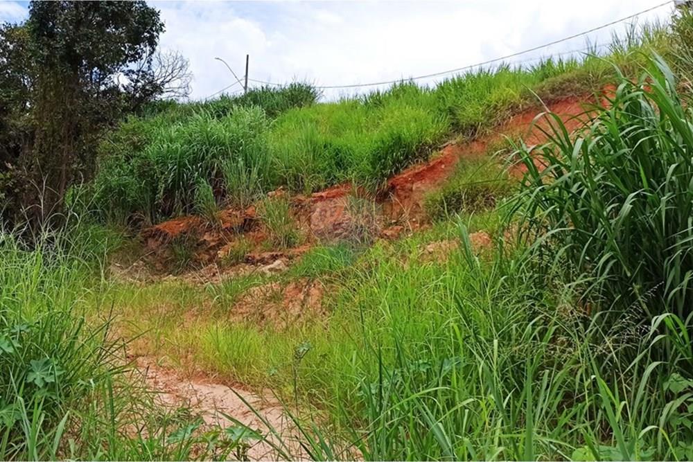 Chácara / Sítio / Fazenda - Venda - Ibirité , Minas Gerais - 12.jpg - 870421081-4