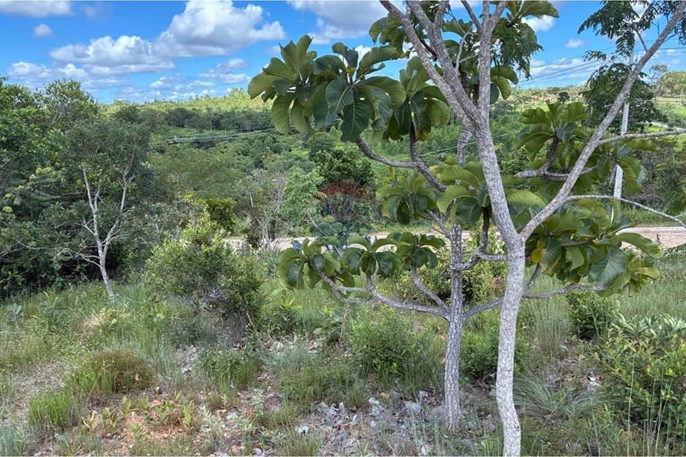 Terreno - Venda - Jequitibá , Minas Gerais - FOTO3.jpeg - 870241112-57