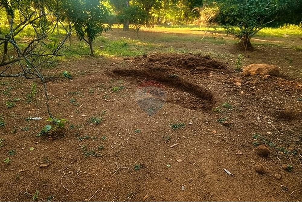 Chácara / Sítio / Fazenda - Venda - Ibirité , Minas Gerais - 405bc4c0-067b-4216-a7d2-3088627869b0.jpeg - 870241024-77