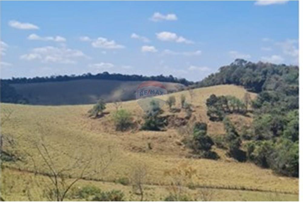 Chácara / Sítio / Fazenda - Venda - Casa Grande , Minas Gerais - foto 25.jpeg - 870411117-20