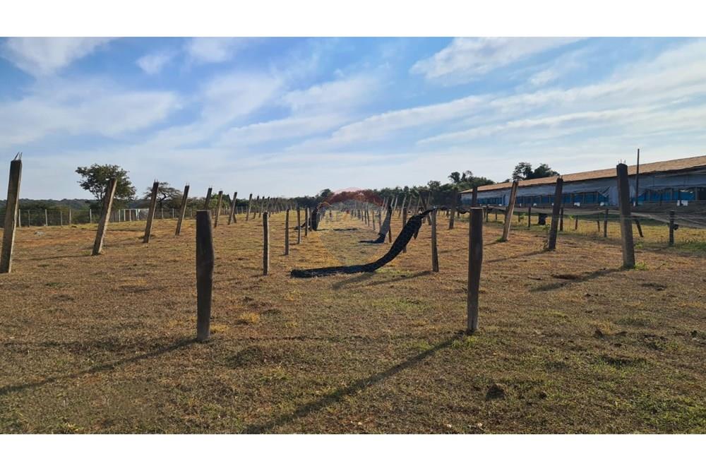 Chácara / Sítio / Fazenda - Venda - Uberaba , Minas Gerais - 23 Fazenda Venda R$ 6.500.000 em Uberaba na Remax 870291025-115.jpeg - 870291025-115