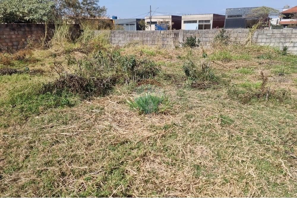 Terreno - Alugar - Nova Lima , Minas Gerais - Foto 17.jpeg - 870421084-26