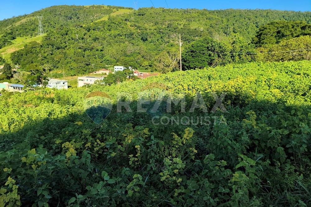 Terreno - Venda - Ipanema , Minas Gerais - 8_image_8_watermark_dom._11012026_132021.jpg - 870451001-161