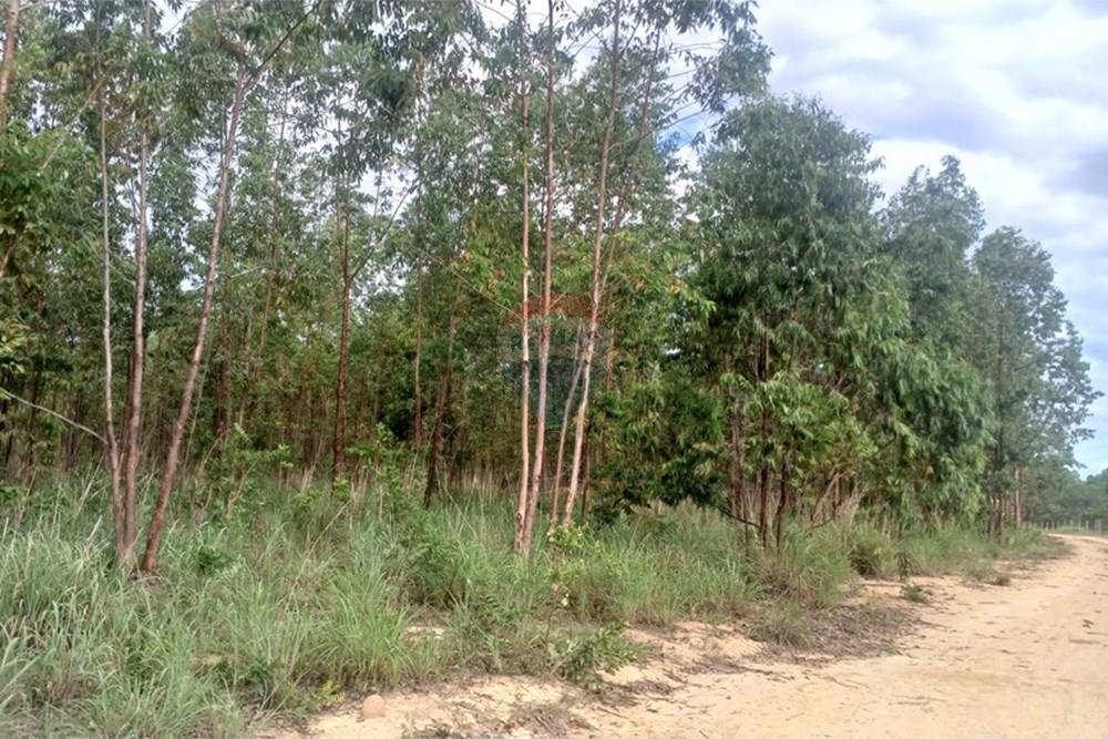 Fazenda - Venda - Inimutaba , Minas Gerais - 20260127_165348.jpg - 870411101-21