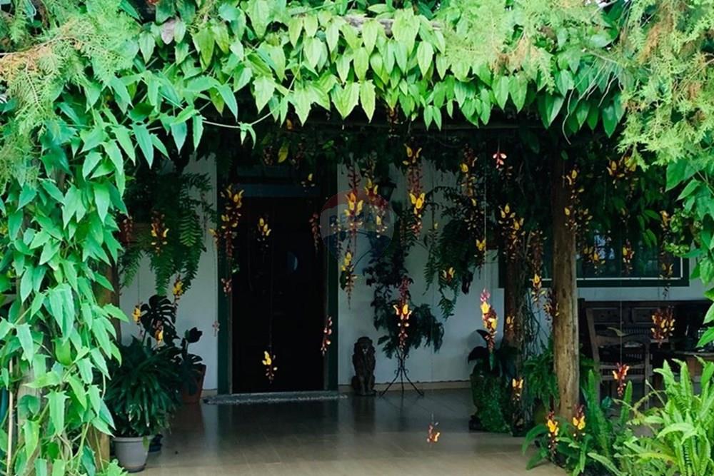 Chácara / Sítio / Fazenda - Venda - Delfinópolis , Minas Gerais - IMG-20250623-WA0016.jpg - 870721005-35