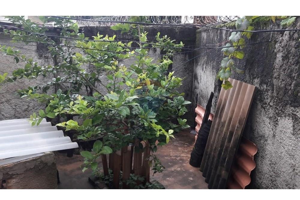 Casa - Venda - Belo Horizonte , Minas Gerais - foto Sergio 023.jpeg - 870411148-15