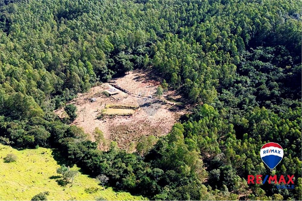 Chácara / Sítio / Fazenda - Venda - São Roque de Minas , Minas Gerais - 84878717-5ccd-46b0-9284-5e2519460bcb.jpg - 870731003-7