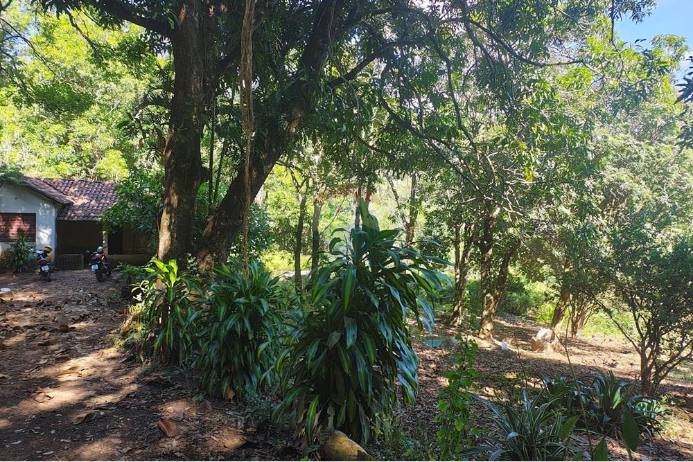 Terreno - Venda - Betim , Minas Gerais - IMG_20250614_105729953_HDR.jpg - 870411113-22