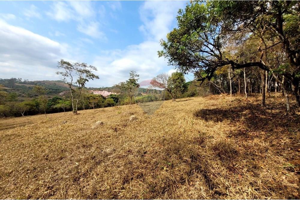 Chácara / Sítio / Fazenda - Venda - Itabirito , Minas Gerais - IMAGE 2025-01-20 20:04:02.jpg - Jardim Interno - 870421026-48