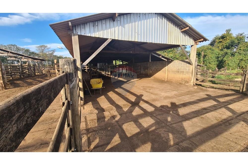 Chácara / Sítio / Fazenda - Venda - Uberaba , Minas Gerais - 03 Fazenda Venda R$ 6.500.000 em Uberaba na Remax 870291025-115.jpeg - 870291025-115