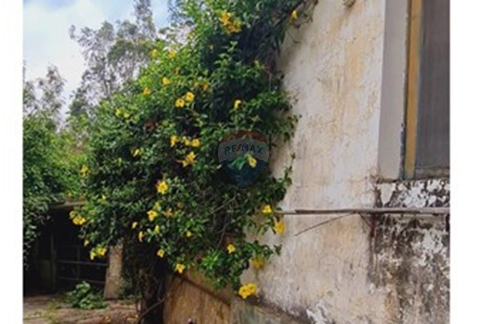 Fazenda - Venda - Pedro Leopoldo , Minas Gerais - foto 3.jpeg - 870411117-34