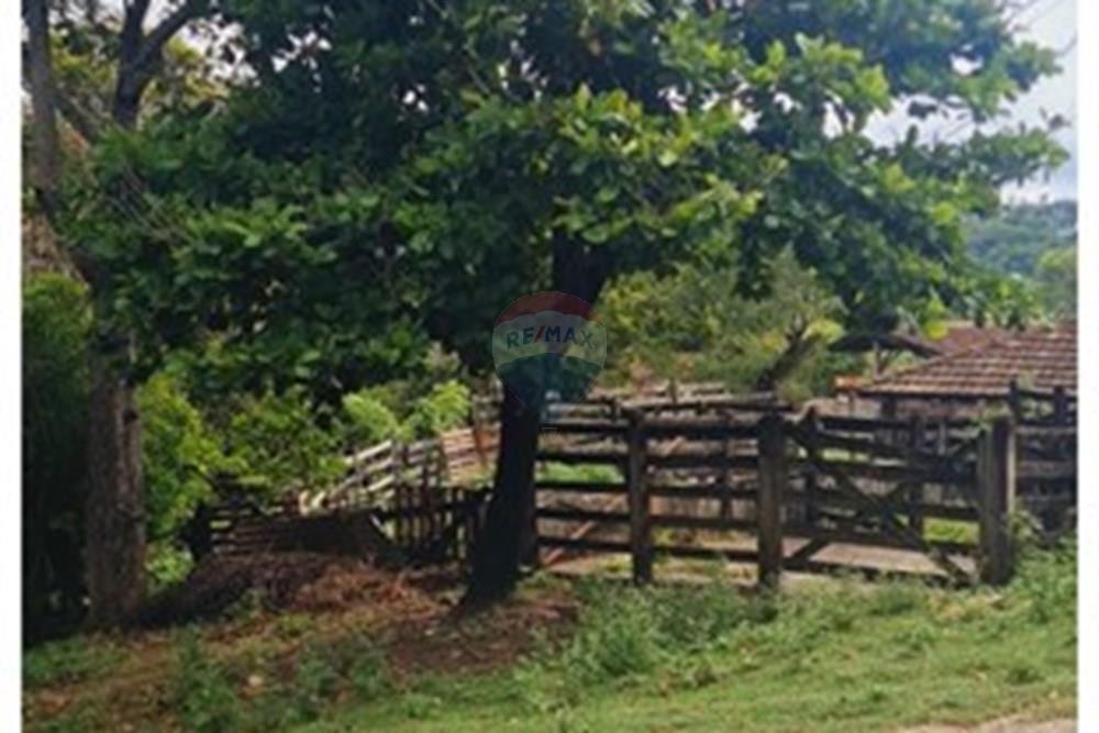 Fazenda - Venda - Pedro Leopoldo , Minas Gerais - foto 2.jpeg - 870411117-34