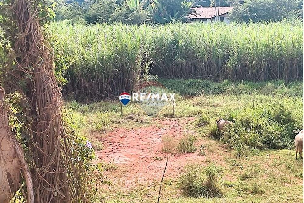 Chácara / Sítio / Fazenda - Venda - Ipanema , Minas Gerais - 0_IMG_20240515_091849_watermark_dom._23062024_100758.jpg - 870451001-121