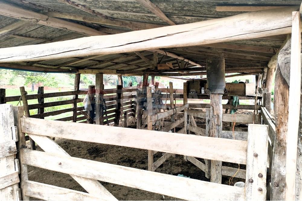 Chácara / Sítio / Fazenda - Venda - Ipanema , Minas Gerais - 5_image_5_watermark_qui._20112025_124903.jpg - 870451013-80