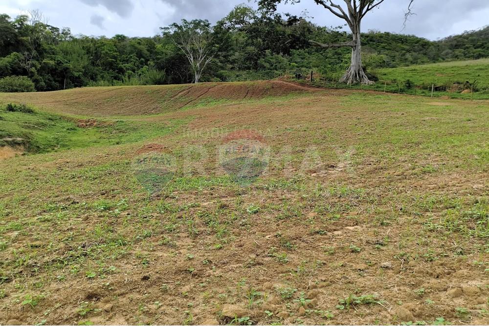 Chácara / Sítio / Fazenda - Venda - Ipanema , Minas Gerais - 8_image_8_watermark_qui._20112025_124339.jpg - 870451013-80