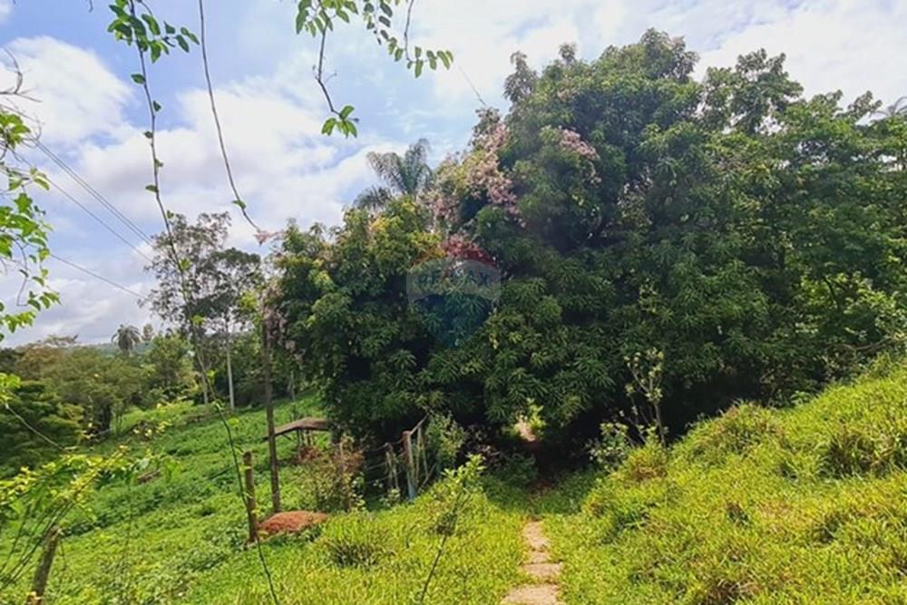 Fazenda - Venda - Pedro Leopoldo , Minas Gerais - WhatsApp Image 2025-12-11 at 16.48.27.jpeg - 870411117-34