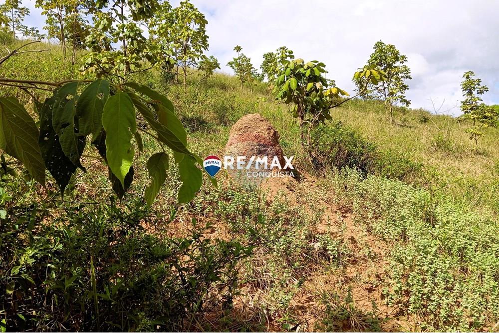 Chácara / Sítio / Fazenda - Venda - Conceição de Ipanema , Minas Gerais - 6_image_6_watermark_sáb._12042025_141923.jpg - 870451013-61