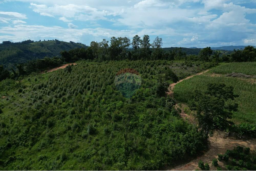 Fazenda - Venda - Caconde , São Paulo - DJI_0026.JPG - 870361041-102