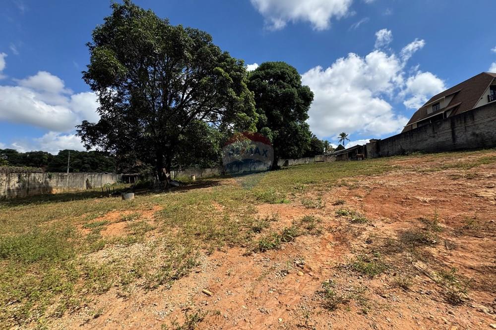 Terreno - Venda - Belo Horizonte , Minas Gerais - IMG_9700.JPG - 870411141-20