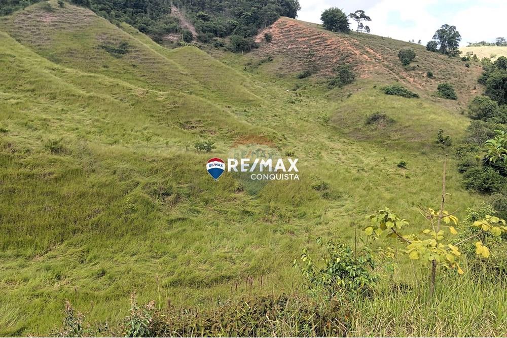 Chácara / Sítio / Fazenda - Venda - Conceição de Ipanema , Minas Gerais - 2_image_2_watermark_sáb._12042025_141817.jpg - 870451013-61