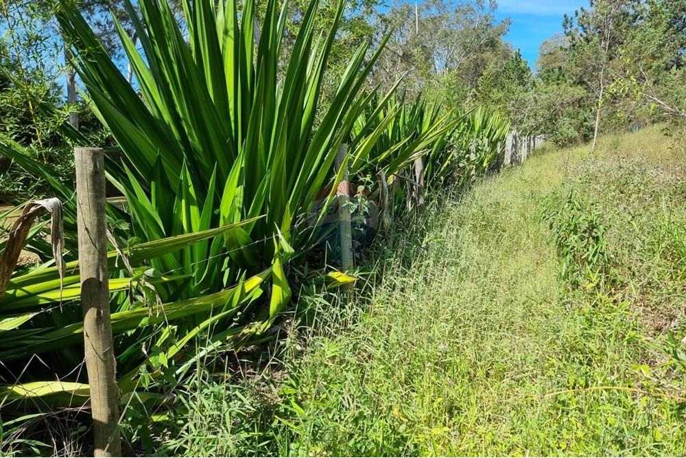 Terreno - Venda - Nova Lima , Minas Gerais - 11.jpeg - 870421084-16