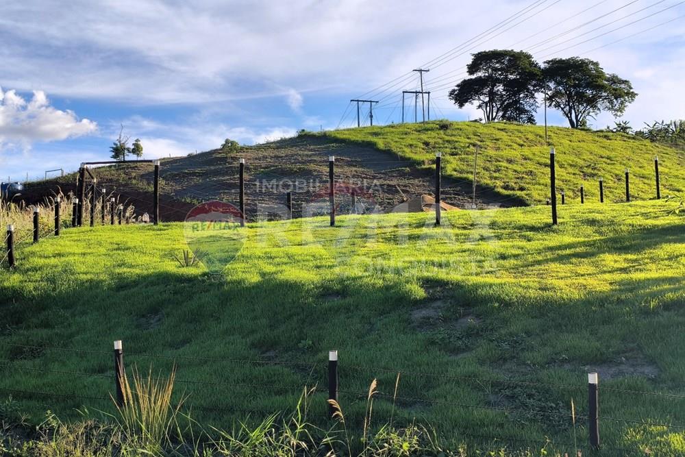 Chácara / Sítio / Fazenda - Venda - Conceição de Ipanema , Minas Gerais - 7_image_7_watermark_dom._11012026_131533.jpg - 870451004-113