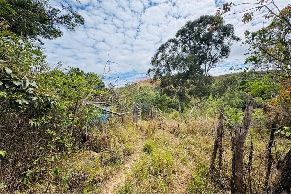 Chácara / Sítio / Fazenda - Venda - Caeté , Minas Gerais - IMG-20251030-WA0327.jpg - 870421116-90