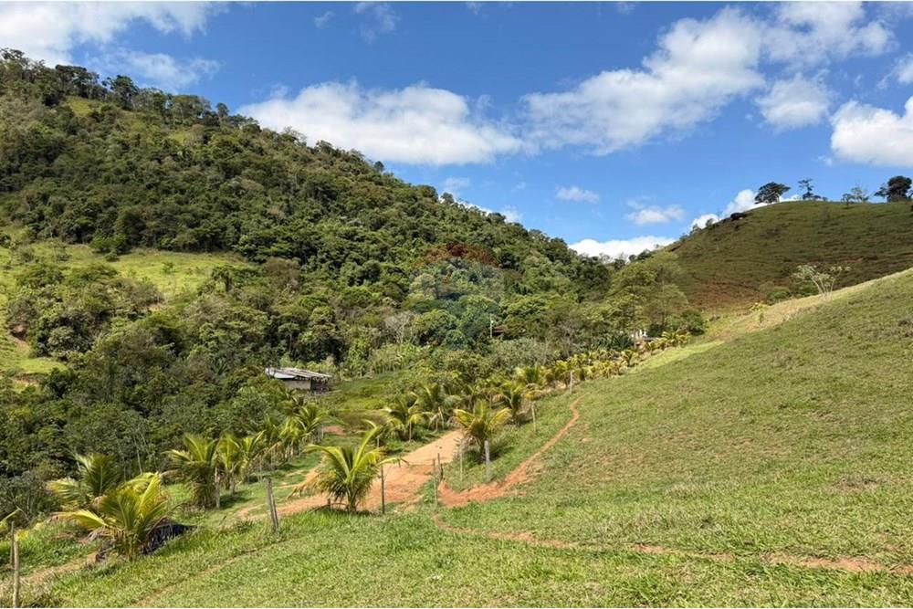 Chácara / Sítio / Fazenda - Venda - Ipatinga , Minas Gerais - WhatsApp Image 2025-11-12 at 17.37.11.jpeg - 870711007-44