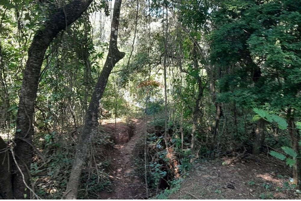 Terreno - Venda - Lagoa Santa , Minas Gerais - FOTO9 FAZENDA .jpg - 870421119-51