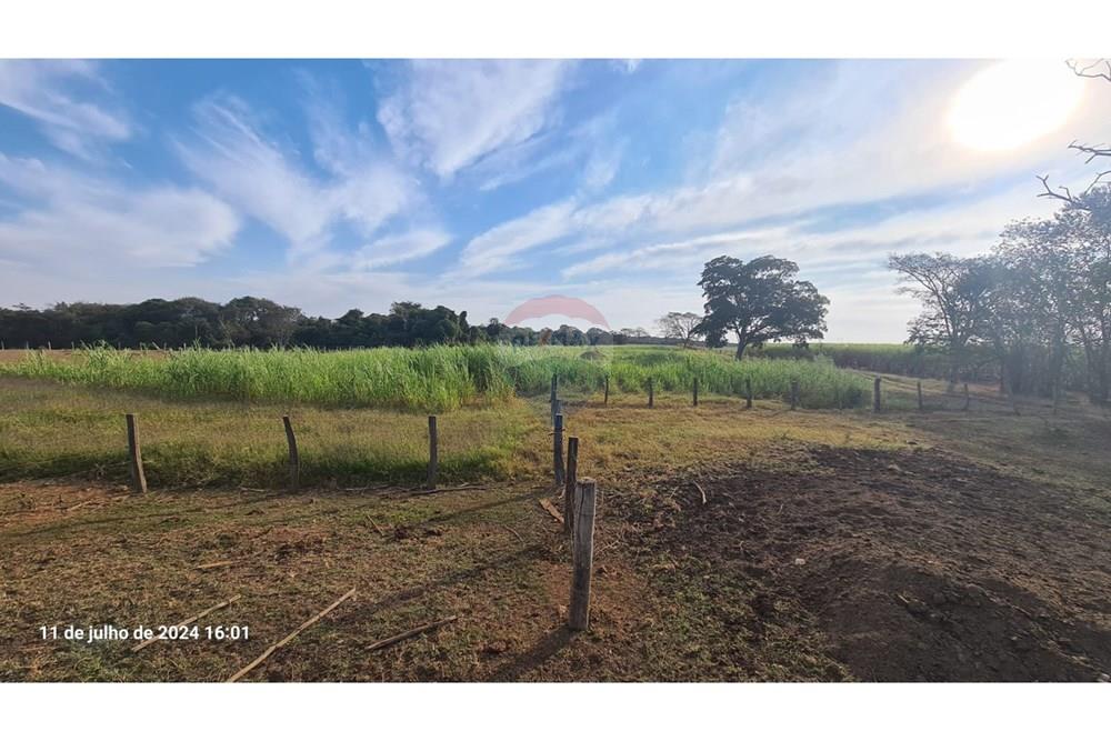 Chácara / Sítio / Fazenda - Venda - Uberaba , Minas Gerais -  (45).jpeg - 870291025-115