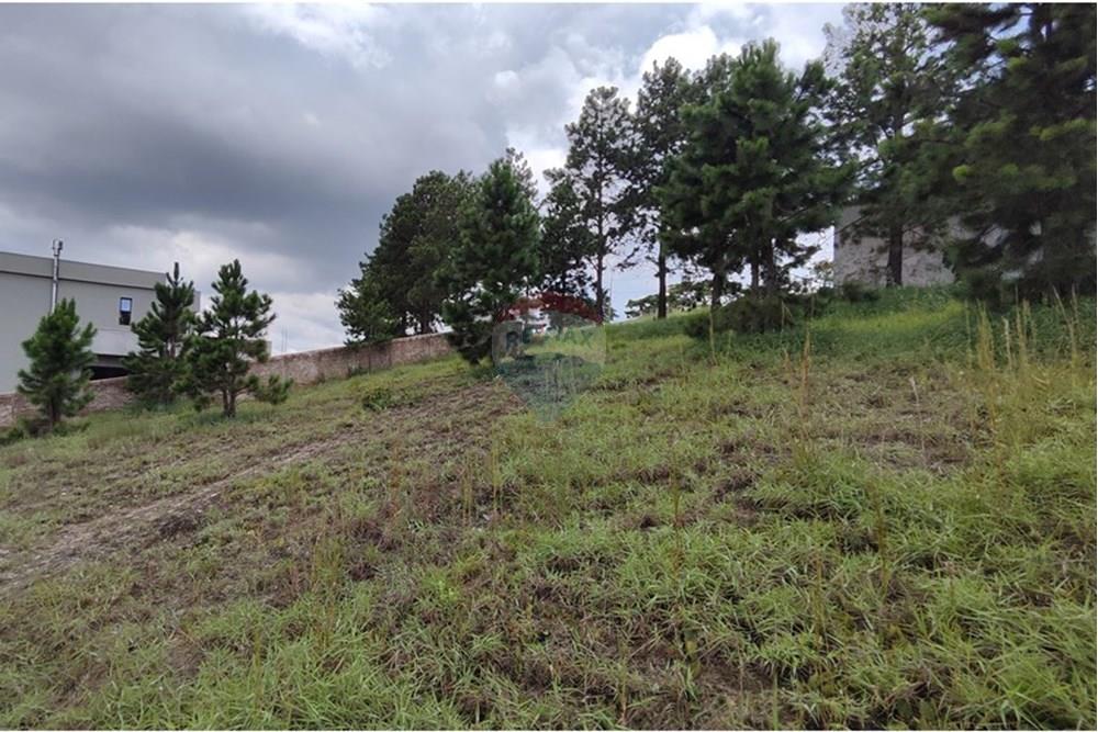 Terreno - Venda - Nova Lima , Minas Gerais - IMG_20250128_115024.jpg - 870421014-287