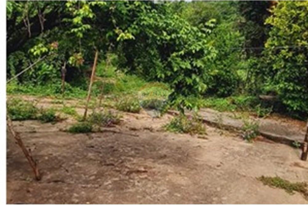 Fazenda - Venda - Pedro Leopoldo , Minas Gerais - WhatsApp Image 2025-12-11 at 15.18.38.jpeg - 870411117-34