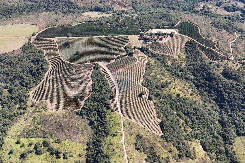 Fazenda - Venda - Ibiá , Minas Gerais - WhatsApp Image 2025-07-07 at 16.23.49 (12).jpeg - 870431012-52