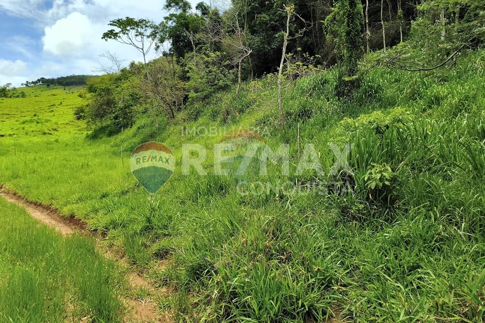 Chácara / Sítio / Fazenda - Venda - Taparuba , Minas Gerais - 2_image_2_watermark_ter._17022026_130732.jpg - 870451001-165