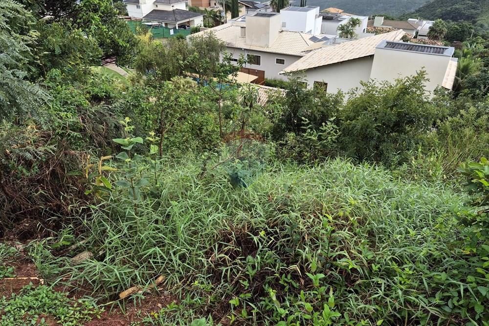Terreno - Venda - Nova Lima , Minas Gerais - 20260318_105548.jpg - 870421084-35
