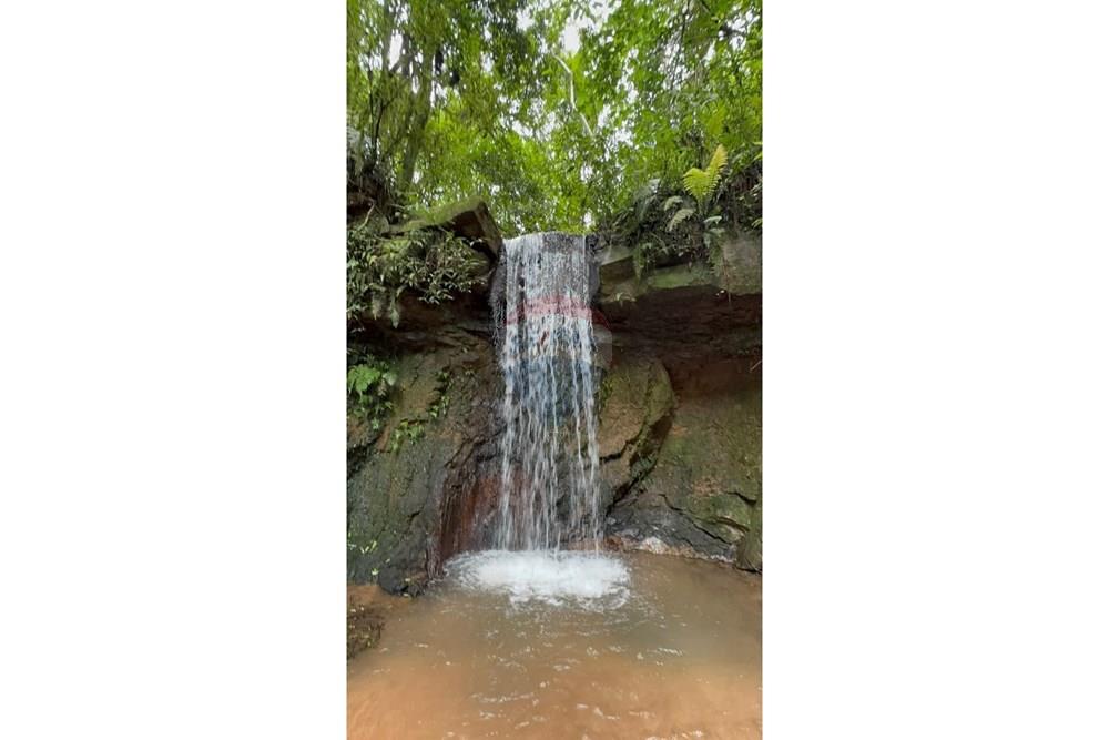 Chácara / Sítio / Fazenda - Venda - São Sebastião do Paraíso , Minas Gerais - SITIO ROMULO BICEGO (2).jpeg - 870811007-131