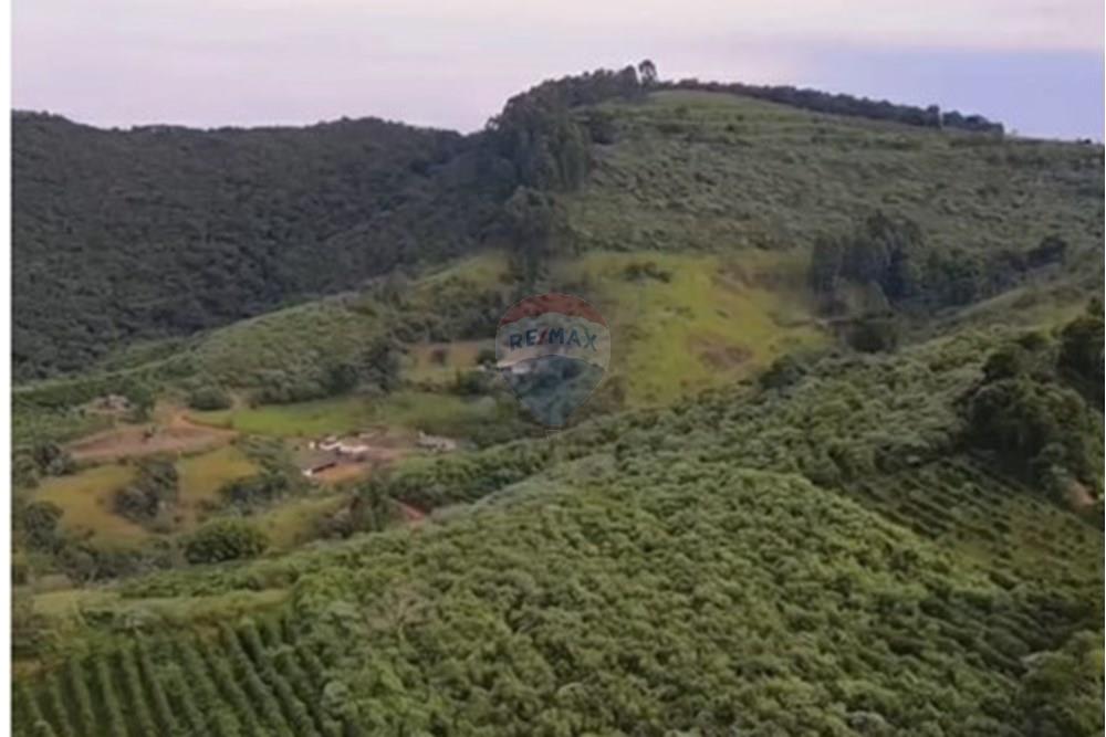 Chácara / Sítio / Fazenda - Venda - Casa Grande , Minas Gerais - 750b5170-6f58-4f71-9a55-912541d72df2.jpeg - 870411117-20