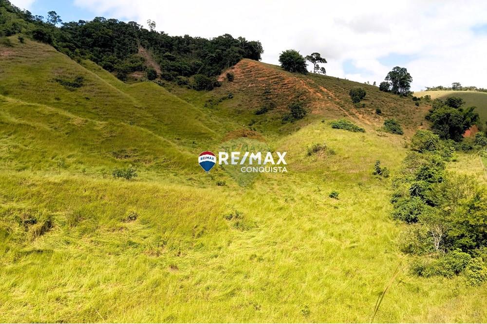 Chácara / Sítio / Fazenda - Venda - Conceição de Ipanema , Minas Gerais - 7_image_7_watermark_sáb._12042025_141701.jpg - 870451013-61