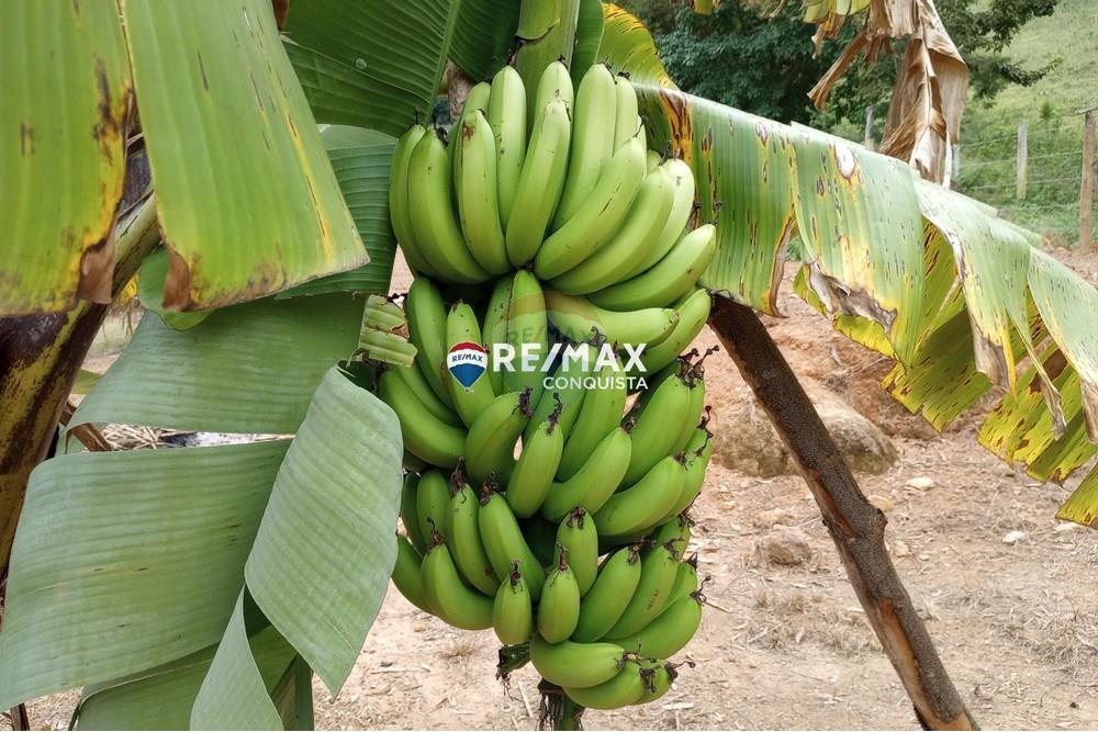 Chácara / Sítio / Fazenda - Venda - Ipanema , Minas Gerais - 0_image_0_watermark_seg._12052025_100732.jpg - 870451004-100